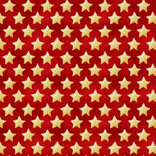 Load image into Gallery viewer, Henry Glass &amp; Co - Land of the Free Stars - 1/2 YARD CUT
